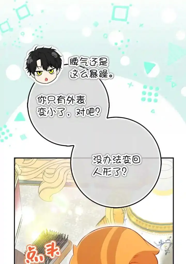 漫画《狮子公爵家的松鼠千金》番外4 你这样来见我也好第35张图