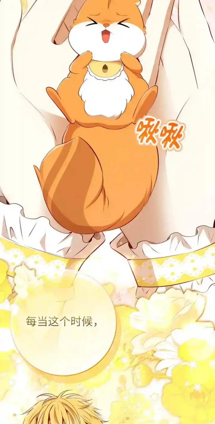 漫画《狮子公爵家的松鼠千金》番外4 你这样来见我也好第48张图