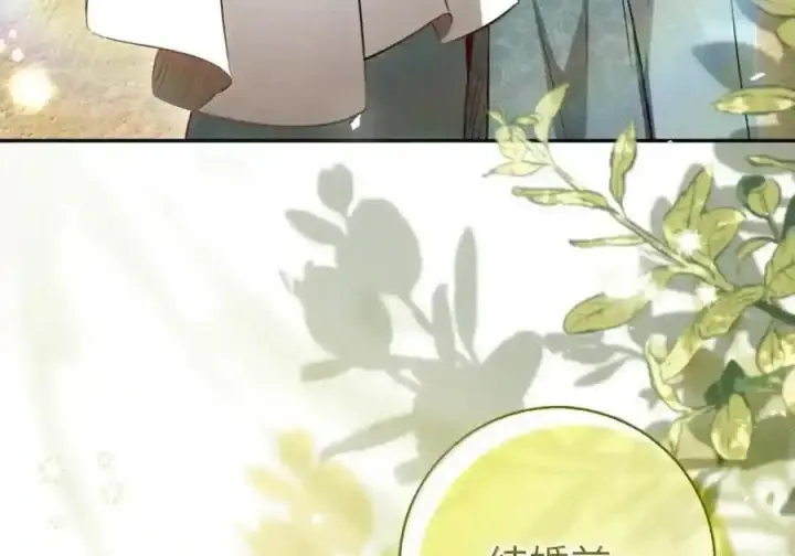 漫画《狮子公爵家的松鼠千金》番外5 父亲的恋爱史第63张图