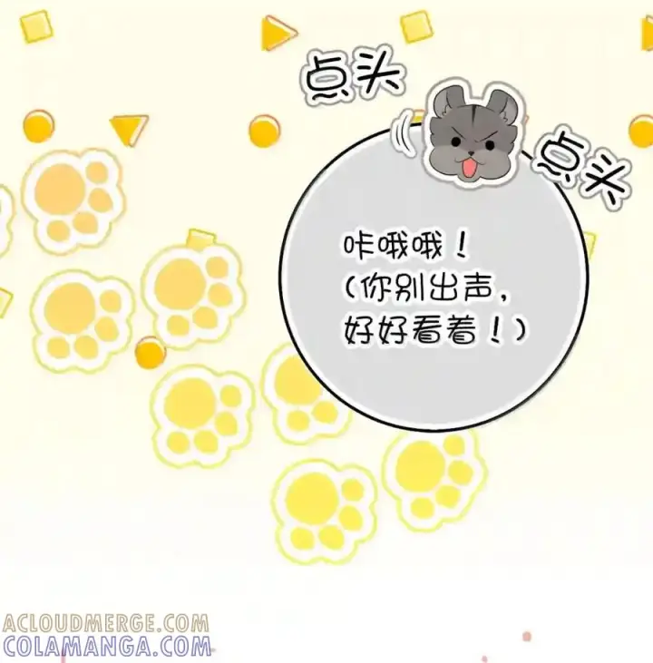 漫画《狮子公爵家的松鼠千金》番外6 兽人宝宝？第64张图