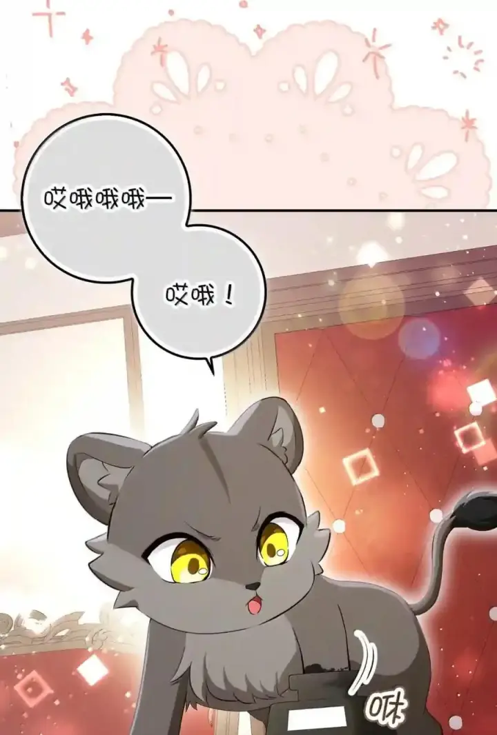 漫画《狮子公爵家的松鼠千金》番外6 兽人宝宝？第65张图