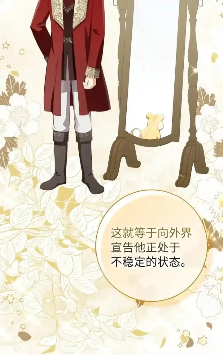 漫画《狮子公爵家的松鼠千金》番外6 兽人宝宝？第78张图