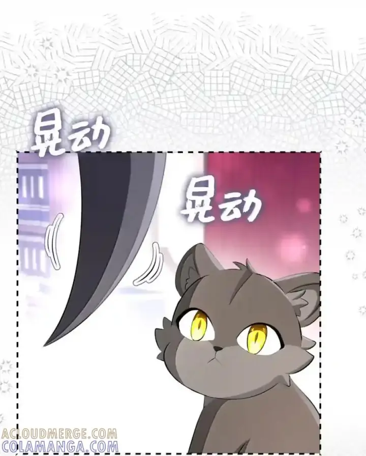 漫画《狮子公爵家的松鼠千金》番外6 兽人宝宝？第88张图