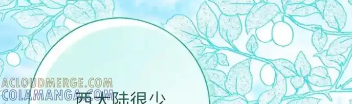 漫画《狮子公爵家的松鼠千金》番外7 前往东大陆第155张图