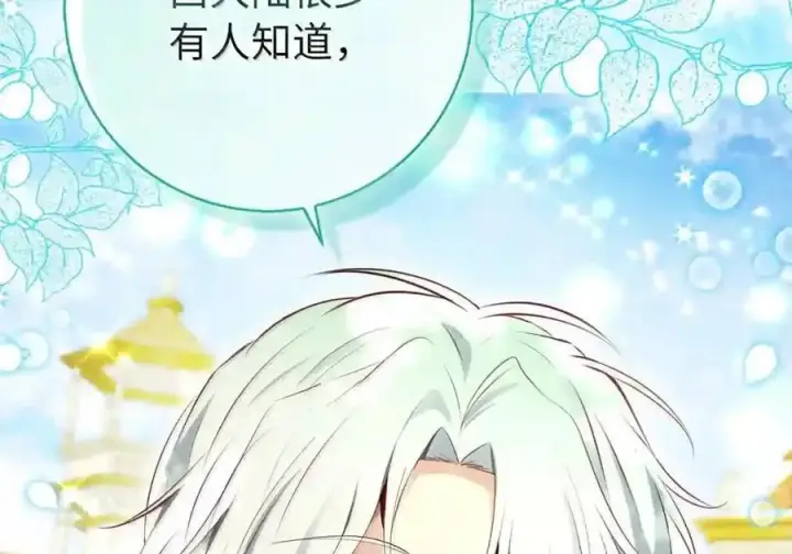 漫画《狮子公爵家的松鼠千金》番外7 前往东大陆第156张图