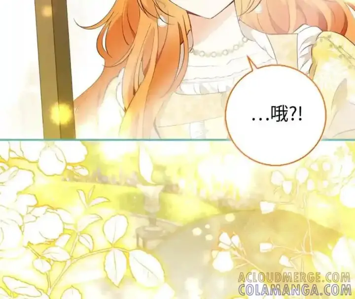 漫画《狮子公爵家的松鼠千金》番外8 孕期的特殊待遇第152张图