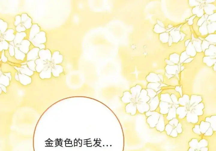 漫画《狮子公爵家的松鼠千金》番外9 欢迎来到这个世界上第147张图