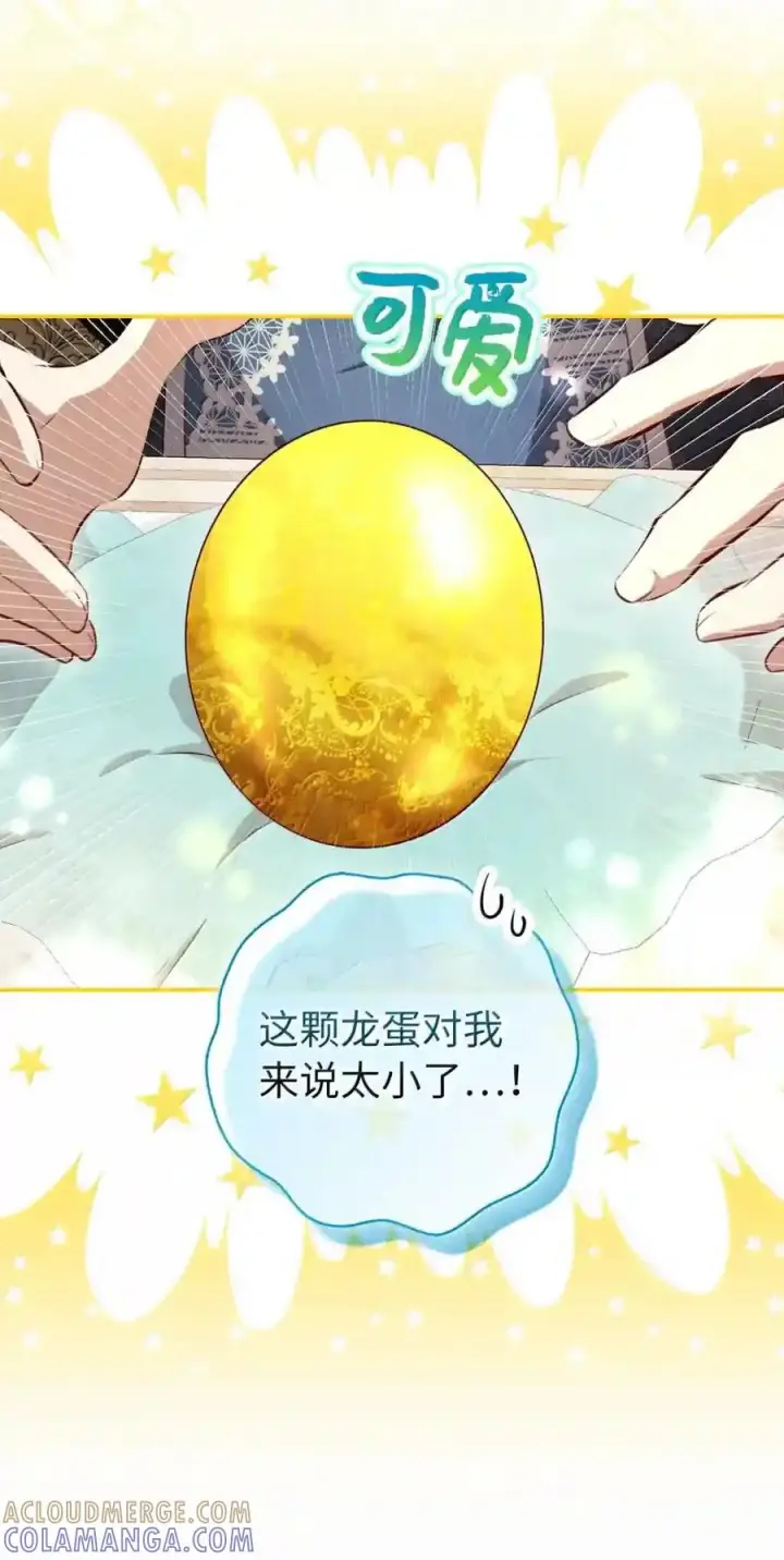 漫画《狮子公爵家的松鼠千金》番外9 欢迎来到这个世界上第62张图