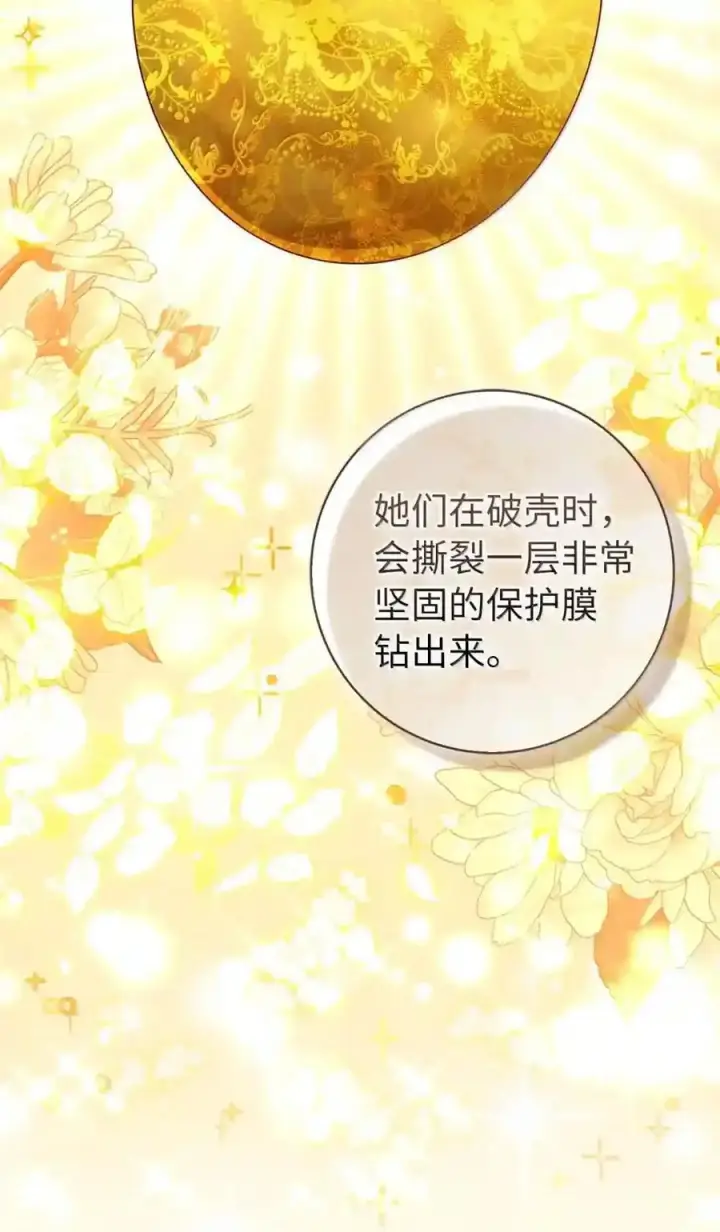 漫画《狮子公爵家的松鼠千金》番外9 欢迎来到这个世界上第69张图