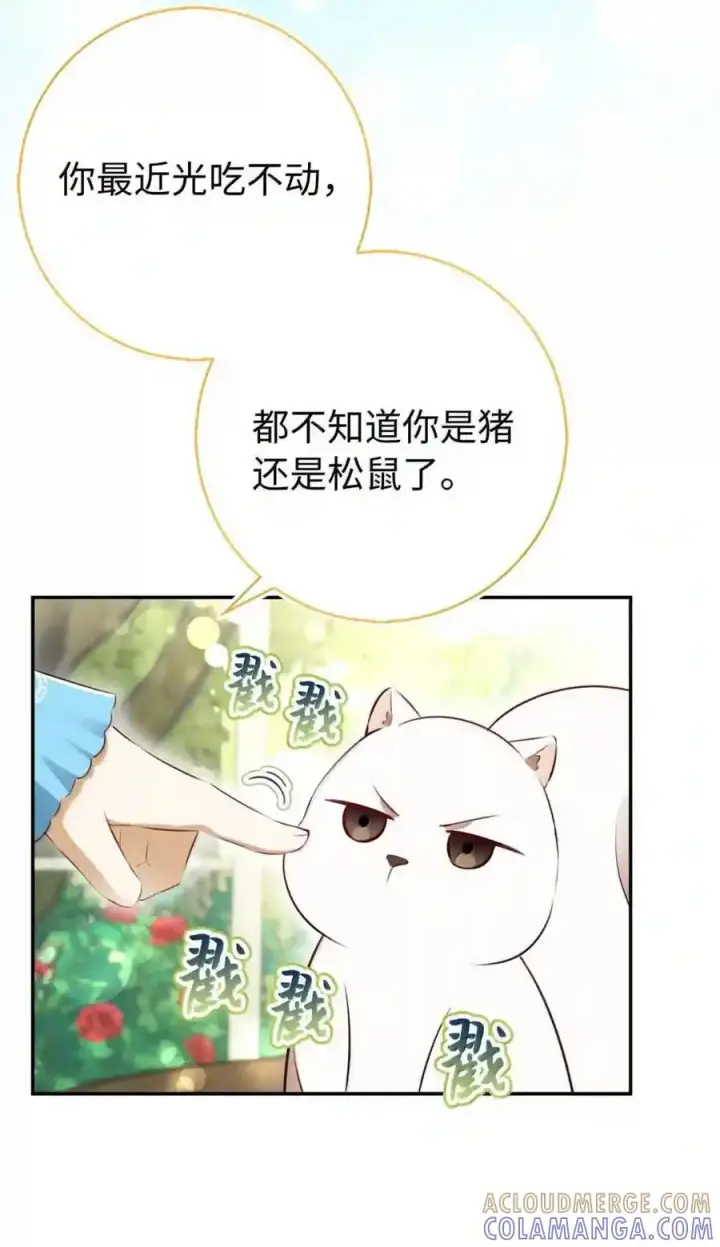 漫画《狮子公爵家的松鼠千金》番外10 幸福的笑声从未间断第20张图
