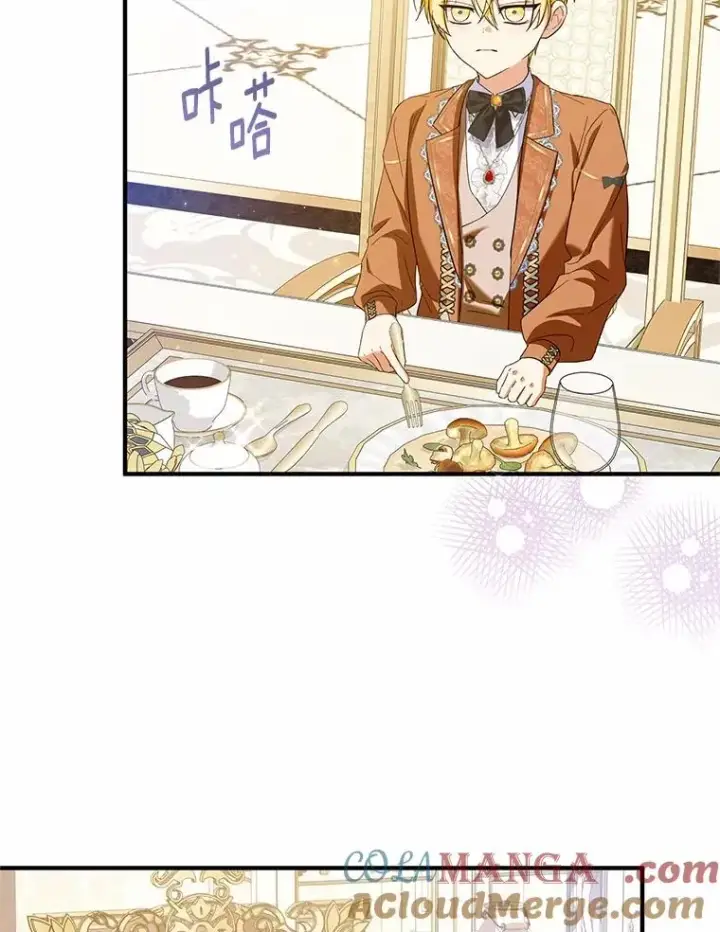 漫画《收养的儿媳准备弃养了》74.不会扔下你第53张图