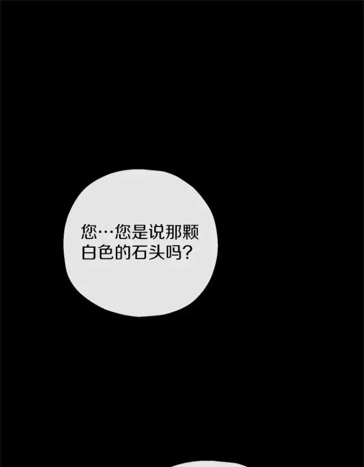 漫画《收养的儿媳准备弃养了》76.这是神石第16张图