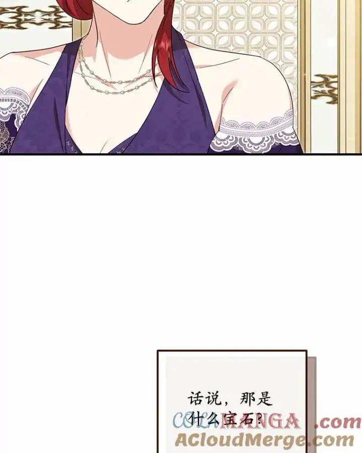 漫画《收养的儿媳准备弃养了》76.这是神石第33张图