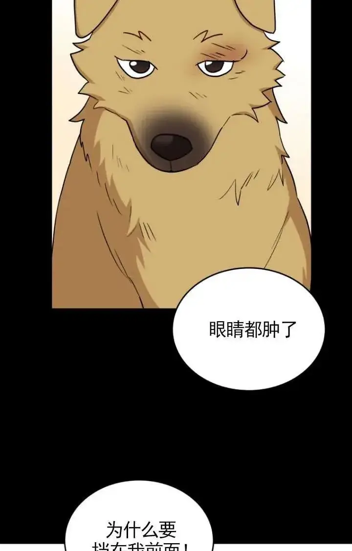漫画《兽医先生！你好？》第18话第11张图