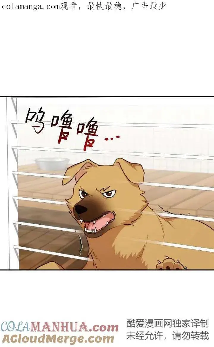 漫画《兽医先生！你好？》第18话第63张图