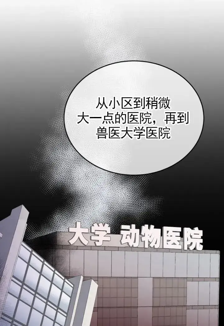 漫画《兽医先生！你好？》第20话第15张图