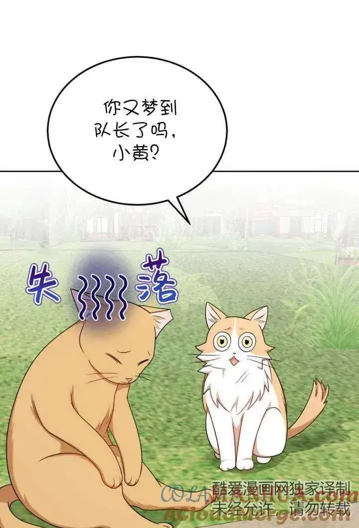 漫画《兽医先生！你好？》第21话第41张图