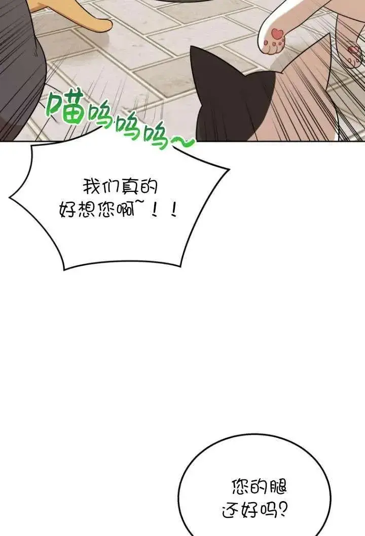 漫画《兽医先生！你好？》第21话第55张图