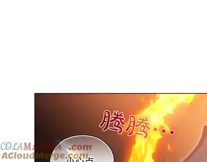 漫画《双胞胎姐姐不再相信他人》第88话弗里泰里图姆第37张图