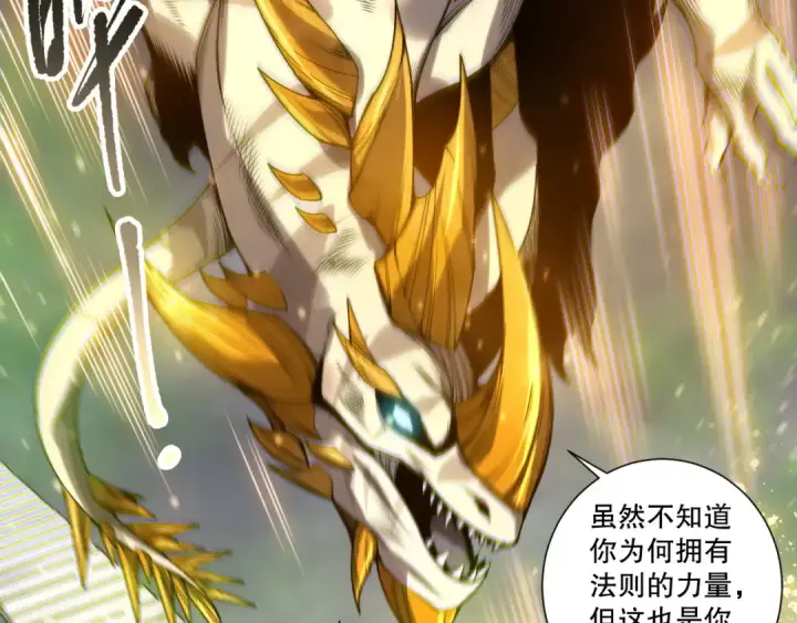 漫画《死灵法师！我即是天灾》第260话 东方神龙第18张图