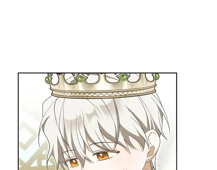 漫画《虽然是骗子，但没关系》第61话 觐见皇帝第88张图