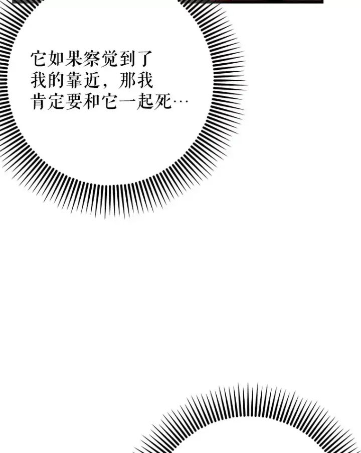漫画《虽是辅助，依旧带飞》36.天使露易丝？第49张图