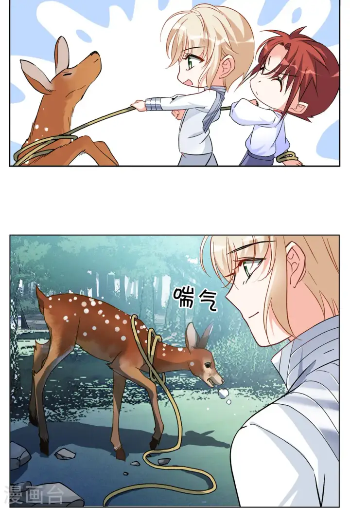 漫画《她来了，请趴下》第116话 暗潮涌动3第13张图