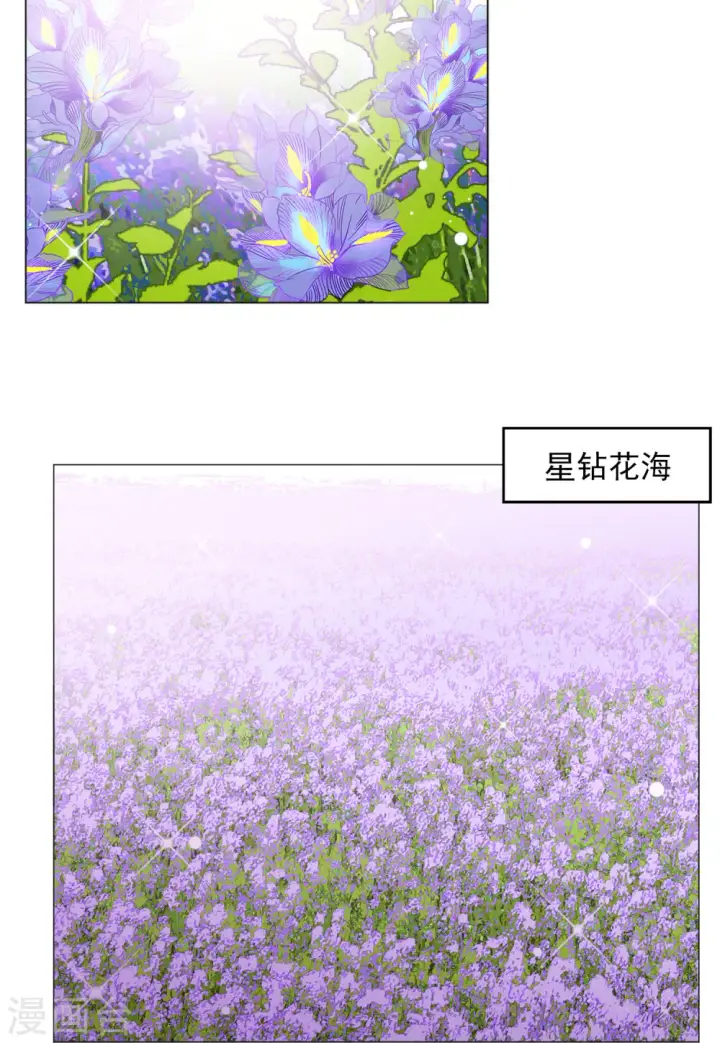 漫画《她来了，请趴下》第135话 星钻1第31张图