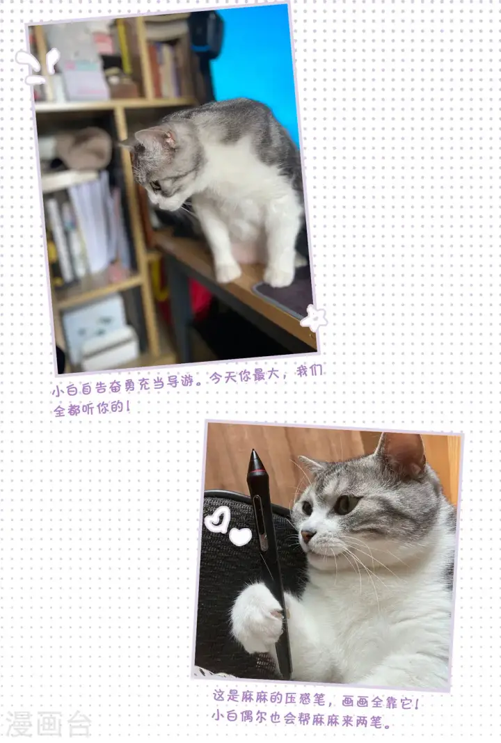 漫画《她来了，请趴下》一周年活动3第6张图