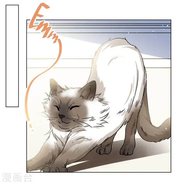 漫画《她来了，请趴下》第233话 意外突降2第3张图