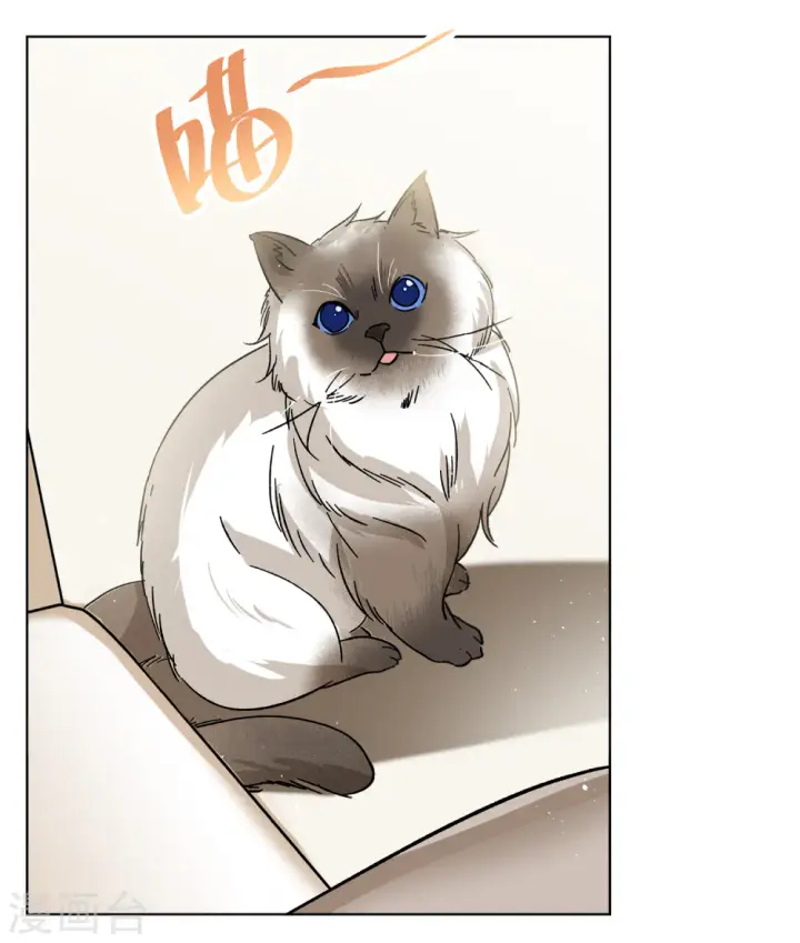 漫画《她来了，请趴下》第233话 意外突降2第4张图