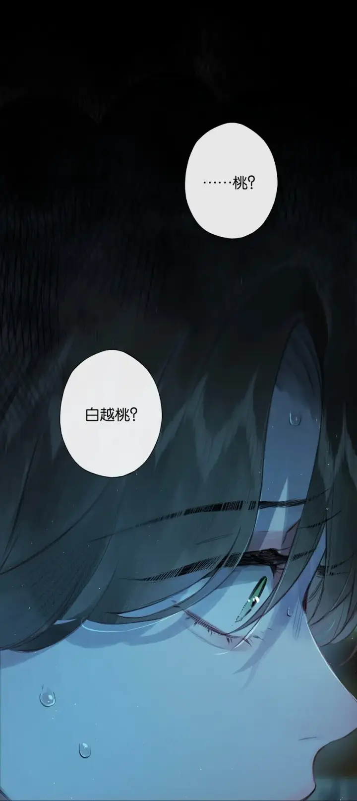 漫画《偷香》003 过往与幻想第12张图