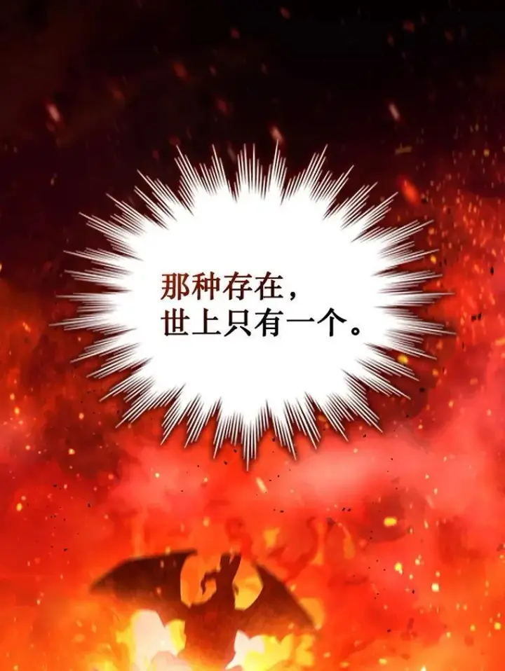 漫画《吞龙魔法师》8.光的指引第74张图