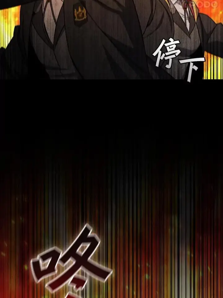 漫画《吞龙魔法师》23.团队作战第68张图