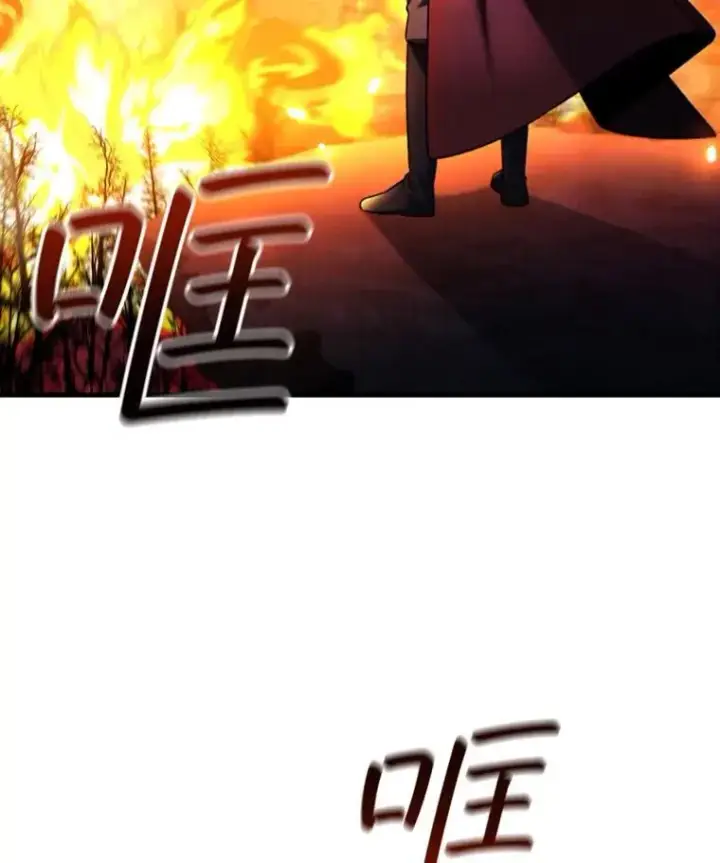 漫画《吞龙魔法师》43.私生子第110张图