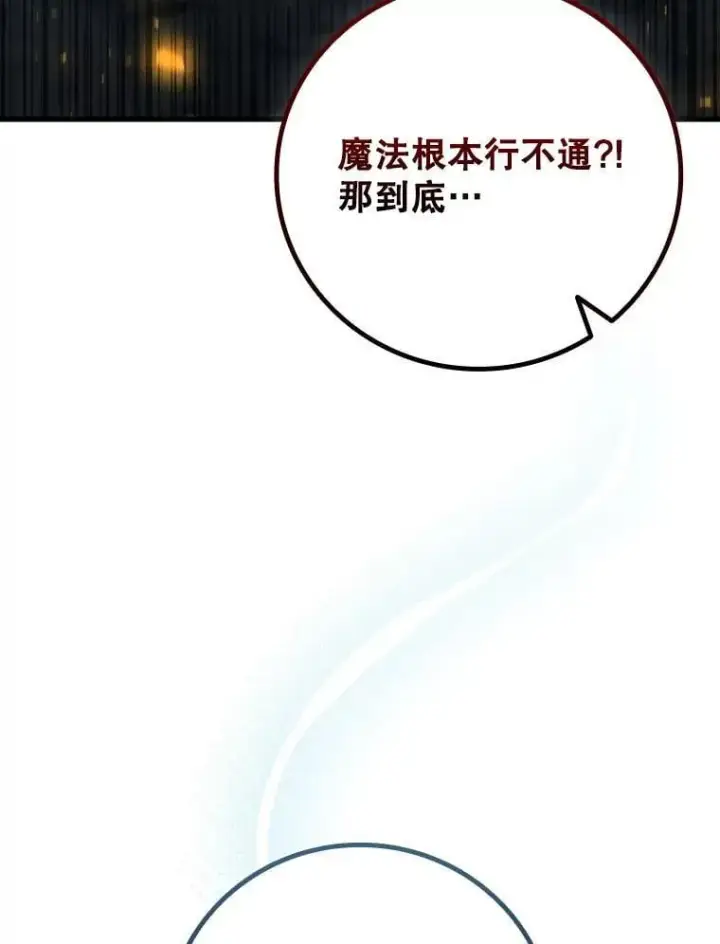漫画《吞龙魔法师》43.私生子第8张图