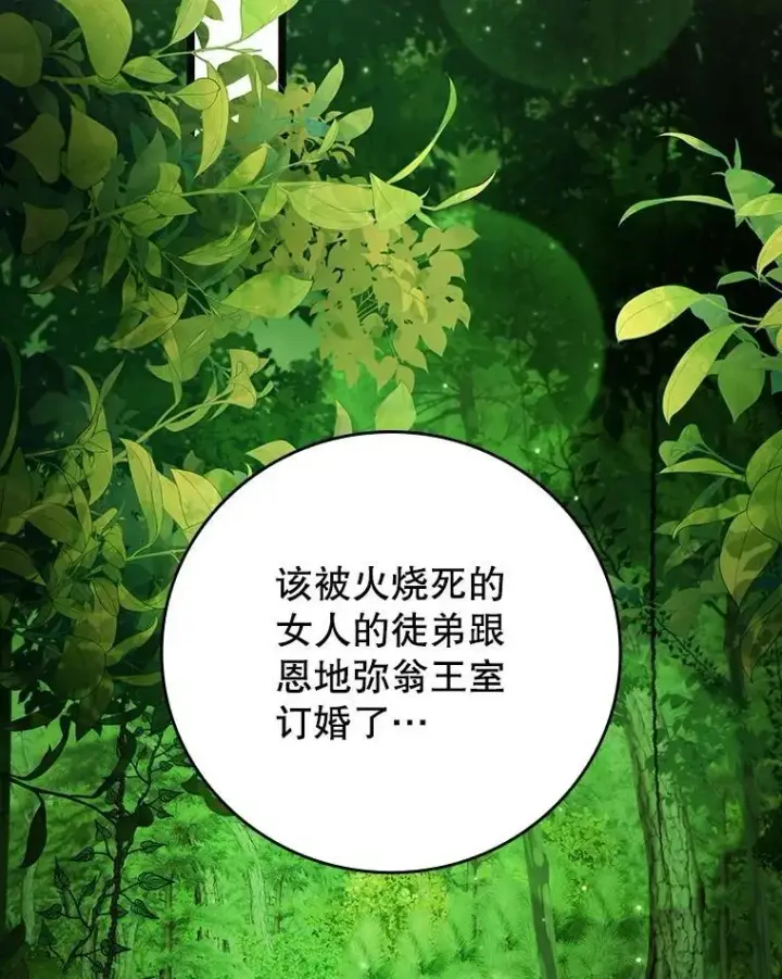 漫画《吞龙魔法师》66.求婚第115张图