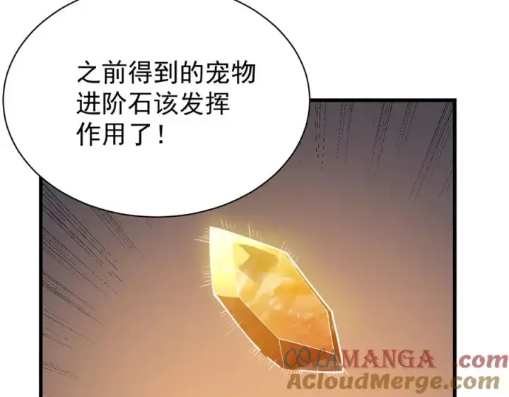 漫画《网游：因为太浪，我成了全服公敌！》第99话 宠物进阶第25张图