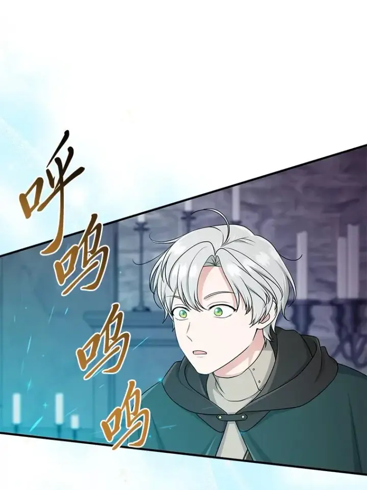 漫画《完美演绎养女角色》57.与精灵缔约第8张图