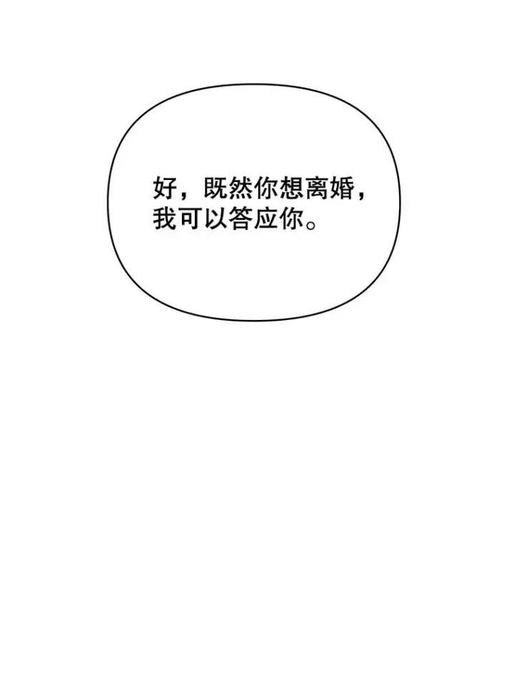 漫画《为了帮助你理解》8.不同意离婚第23张图