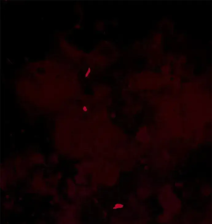 漫画《问题王子》[第107话] 结尾和开始第67张图