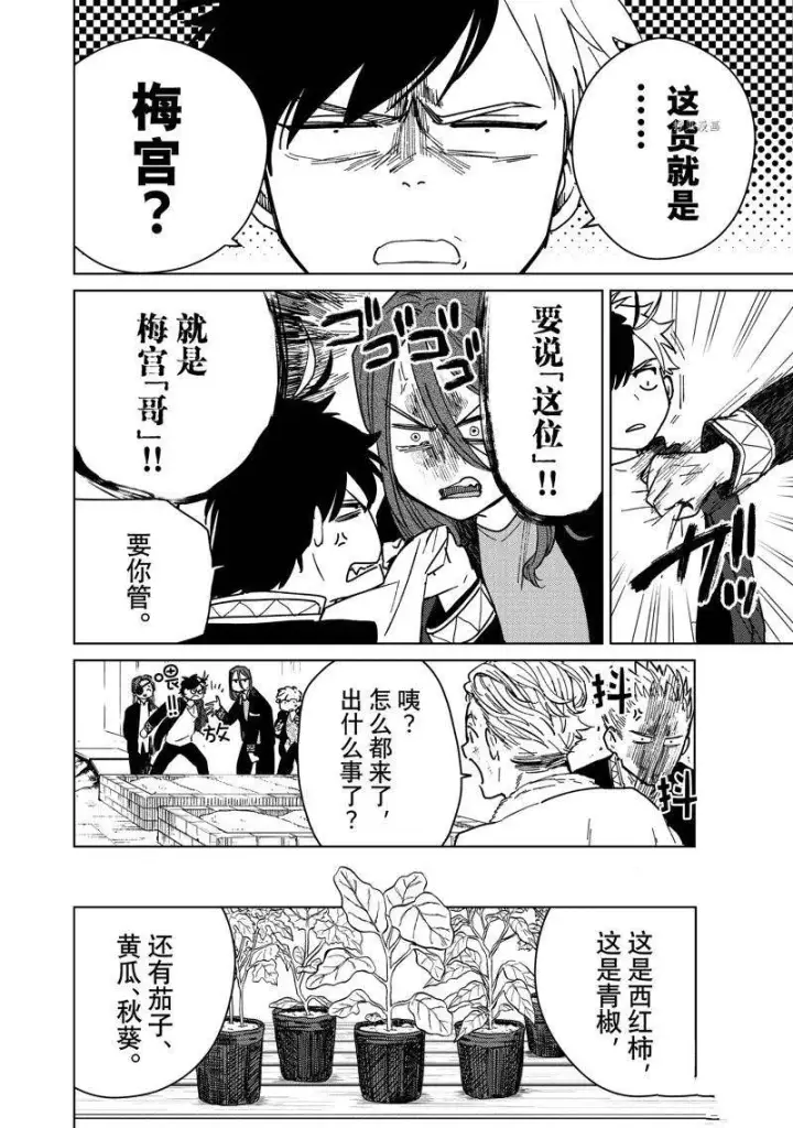 漫画《WIND BREAKER》第7话第4张图