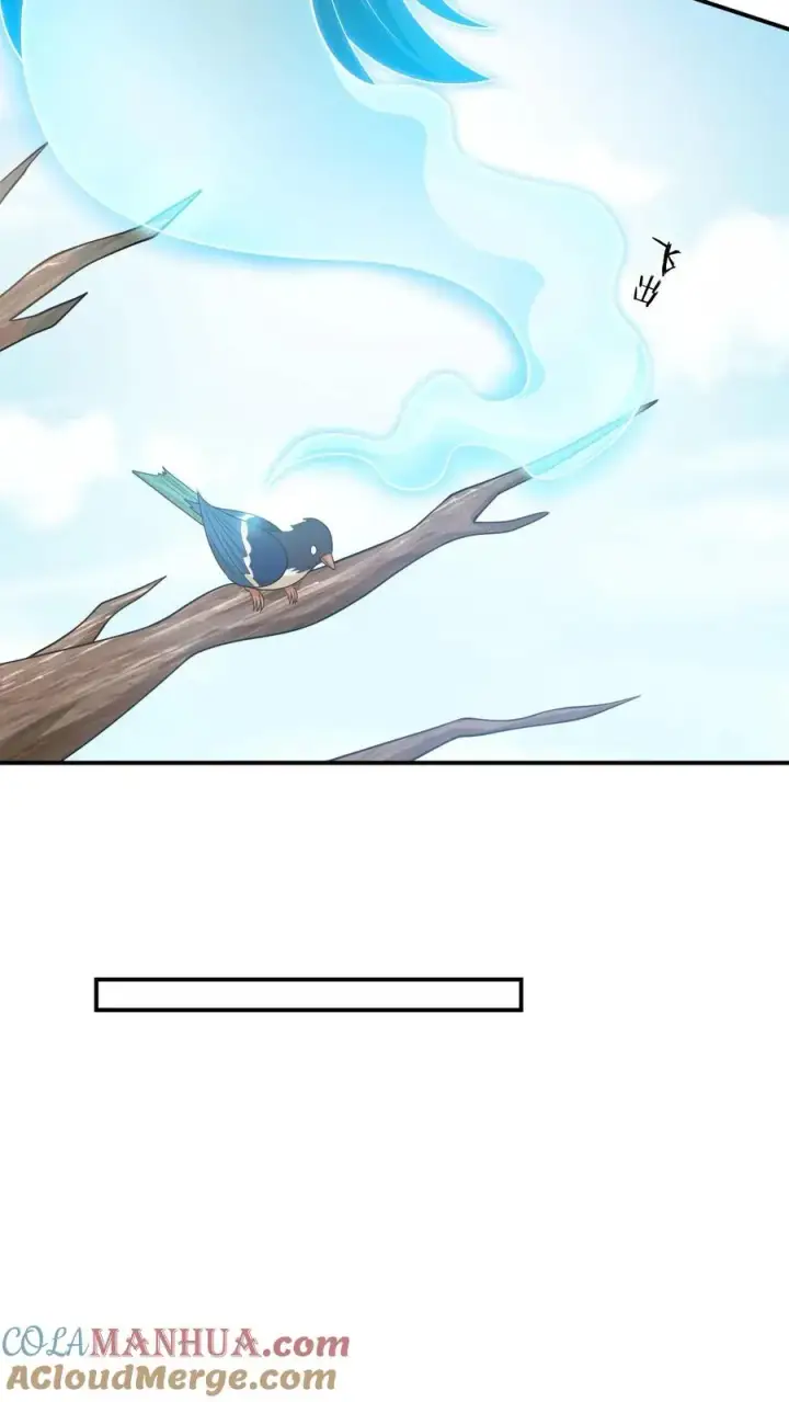 漫画《我出钱你出命，我俩一起神经病》第108话 躺枪的喜鹊第17张图