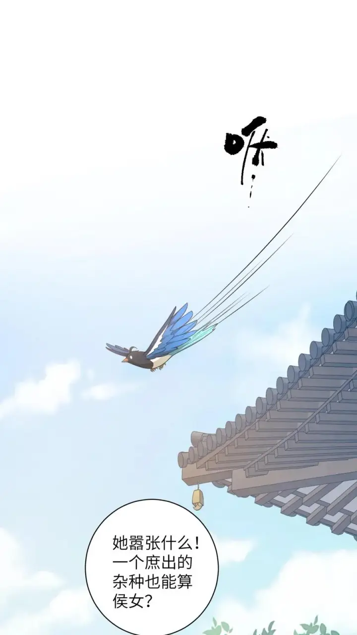 漫画《我出钱你出命，我俩一起神经病》第108话 躺枪的喜鹊第2张图