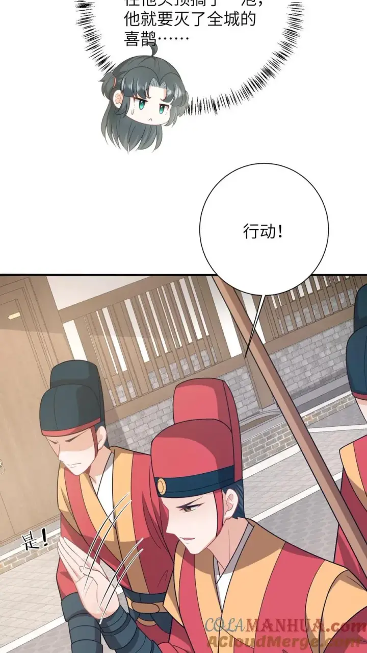 漫画《我出钱你出命，我俩一起神经病》第108话 躺枪的喜鹊第25张图