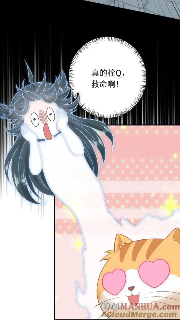 漫画《我出钱你出命，我俩一起神经病》第113话 脱离掌控的大橘第11张图