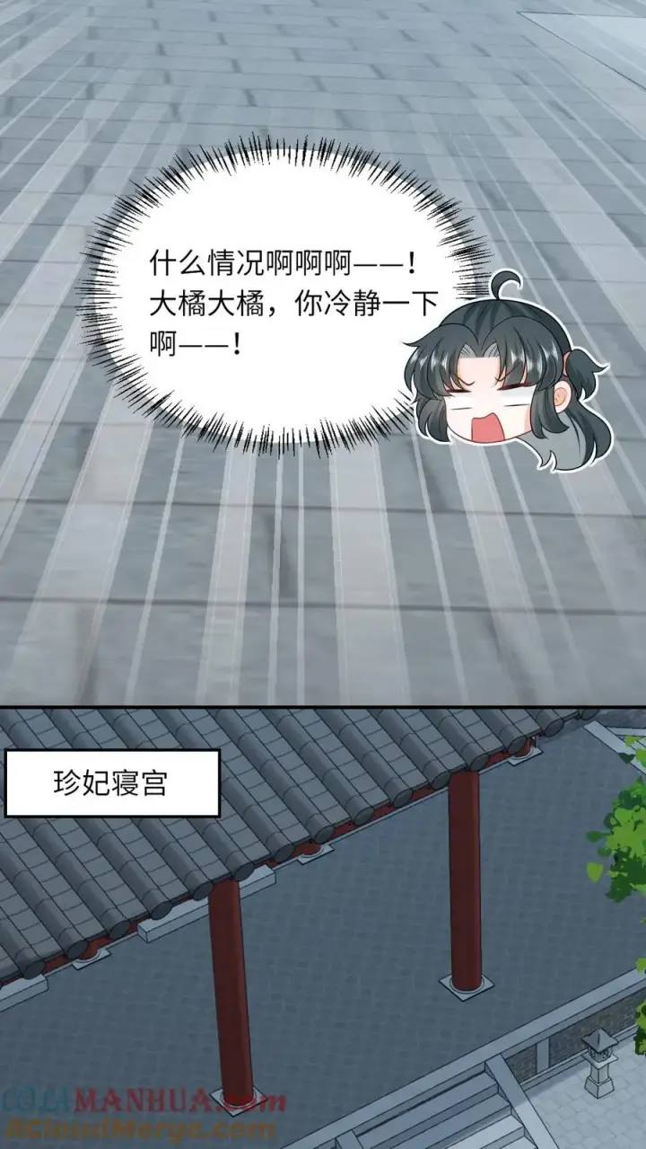 漫画《我出钱你出命，我俩一起神经病》第113话 脱离掌控的大橘第3张图