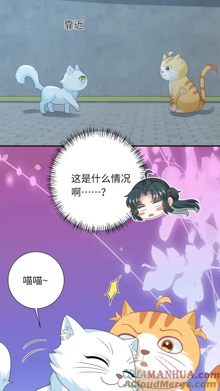 漫画《我出钱你出命，我俩一起神经病》第113话 脱离掌控的大橘第7张图