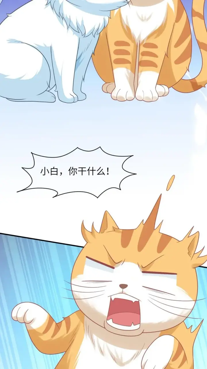 漫画《我出钱你出命，我俩一起神经病》第113话 脱离掌控的大橘第8张图