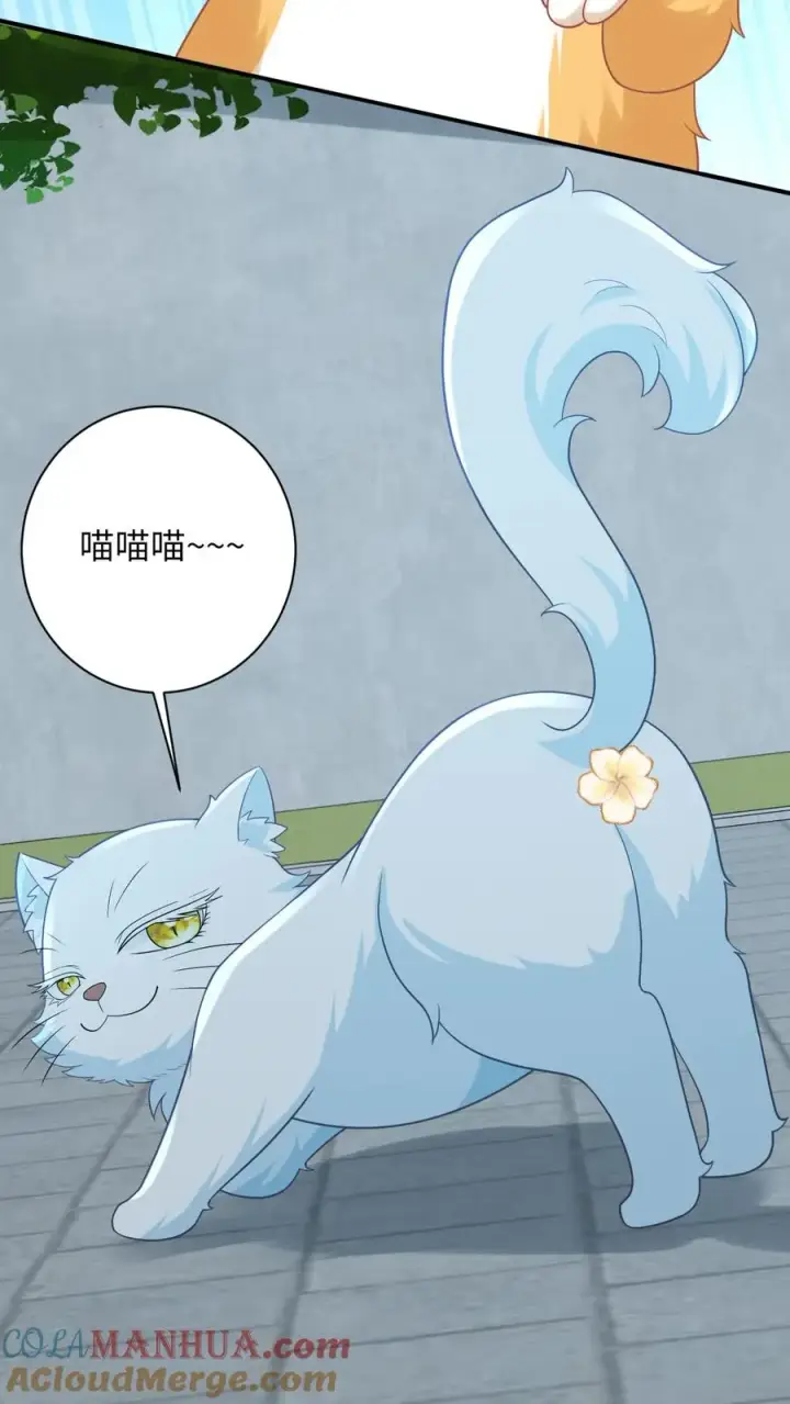 漫画《我出钱你出命，我俩一起神经病》第113话 脱离掌控的大橘第9张图